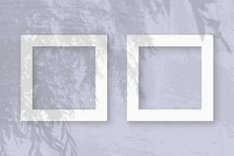 Natural light casts shadows from an willow branch on 2 square frames of white Stock Photos