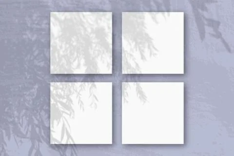 Natural light casts shadows from an willow branch on 4 square sheets of white Stock Photos