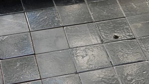 Natural light close-up of dark gray square textured stone tile floor with debris Stock Footage 344746780