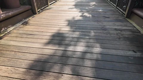 Natural light creates shadows on wooden walkway in garden Stock Footage 321438604