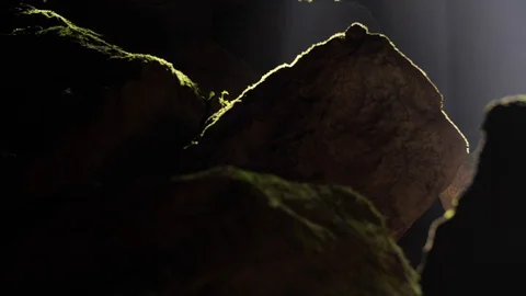 Natural light in the forest that is shining into the cave entrance. Video stock 128019820
