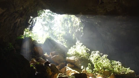 Natural light in the forest that is shining into the cave entrance. Stock Footage 128019940