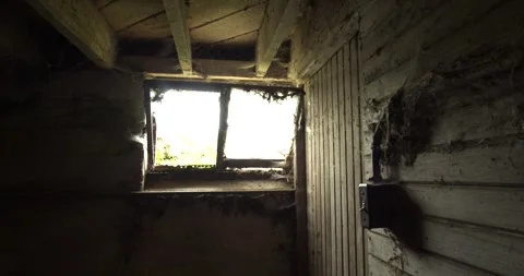 Natural light shines through a weathered, dusty window in a rustic dairy barn Stock Footage 333184017