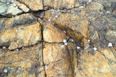 Natural light stone. Stock Photos