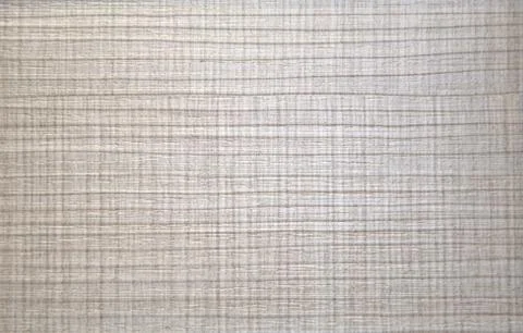 Natural light wood closeup. Texture. Background. Close up shot. Stock Photos