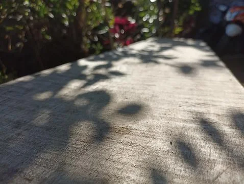 Natural lighting Stock Photos