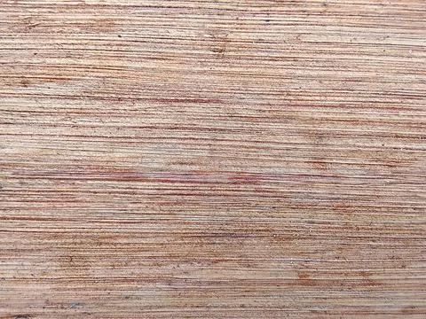 Natural Linear Grain Texture of Letang Meranti Wood Shorea Sp from Borneo Stock Photos