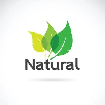 Natural logo design vector template on white background. Leaf icon Stock Illustration