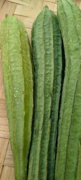 Natural Luffa Gourd Backdrop Stock Photos