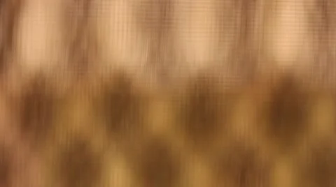 Natural Macro Kaleidoscope Stock Footage 42197017