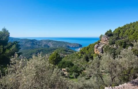 Natural Mallorca landscape Stock Photos