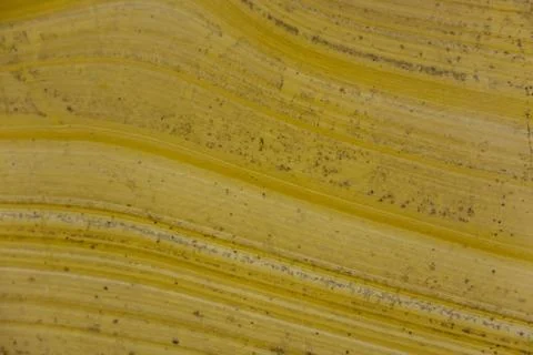 Natural marble texture Stock Photos