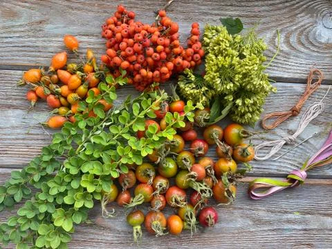 Natural material for creativity Rowan berries rose hips and branches with lea Stock Photos