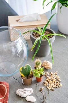 Natural materials and decorative elements prepared for creating a closed Stock Photos