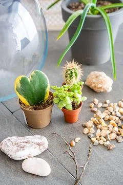 Natural materials and decorative elements prepared for creating a closed Stock Photos