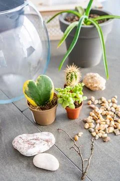 Natural materials and decorative elements prepared for creating a closed Stock Photos