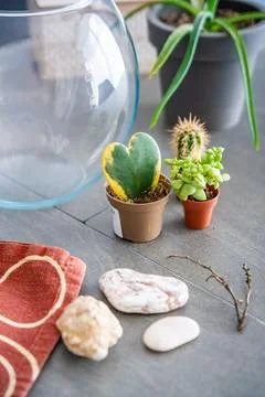 Natural materials and decorative elements prepared for creating a closed Stock Photos