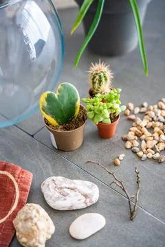Natural materials and decorative elements prepared for creating a closed 写真素材