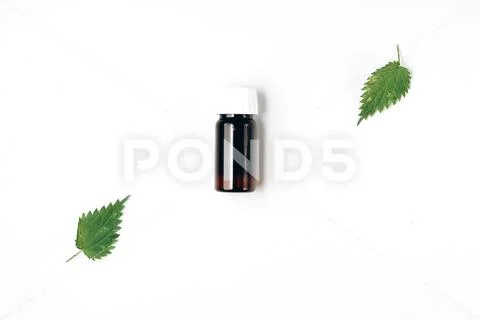 Natural medical product. Bottle of essential oil with nettle leaves Stock Photos