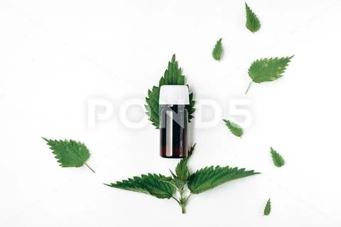 Natural medical product. Bottle of essential oil with nettle leaves Stock Photos