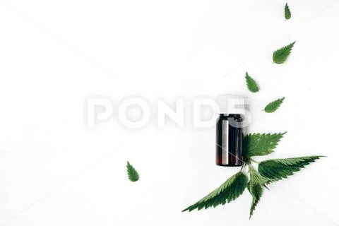 Natural medical product. Bottle of essential oil with nettle leaves Stock Photos