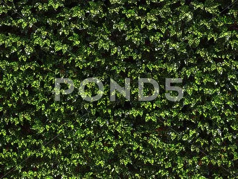 Natural mosaic green leaves background Stock Illustration