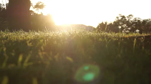 Natural motion 3 Stock Footage 29158872