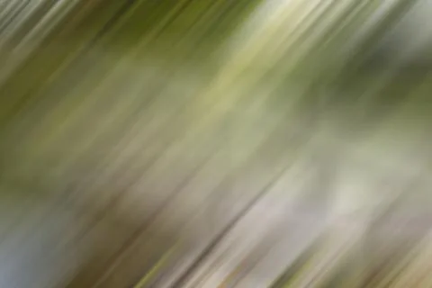 Natural motion blur background Stock Photos