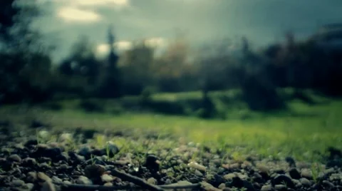 Natural motion. Stock Footage 18187985