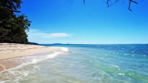 Natural Motion Relaxing Seebetch Video for Mindful Viewing Stock Footage 314791329