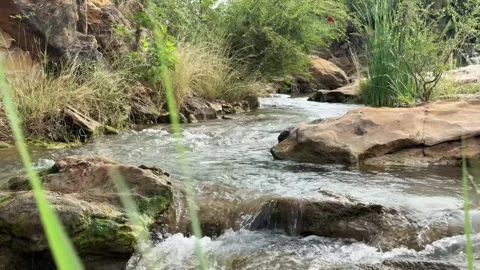 Natural Mountain Stream Flowing Through Rocky Landscape with Green Vegetation Stock Footage 331800602