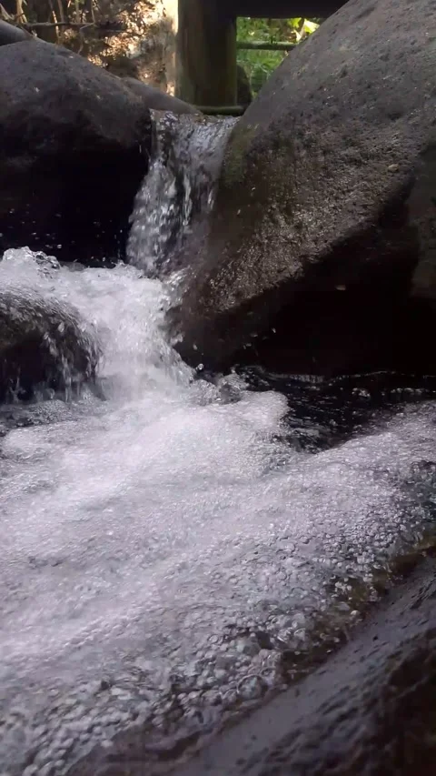 Natural mountain stream water flowing over rock tropical forest B-roll Stock Footage 341661140