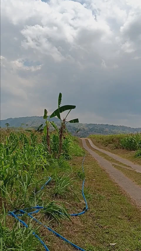 Natural mountain views Stock Footage 284408855