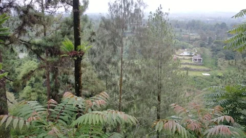 Natural mountain views Video stock 292504721