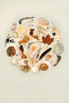 Natural Nature Objects Circular Abstract Design 库存照片