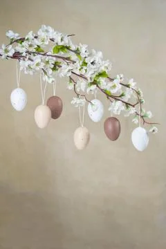 Natural not Colored Easter eggs hanging on branch with white flowers. Stock Photos