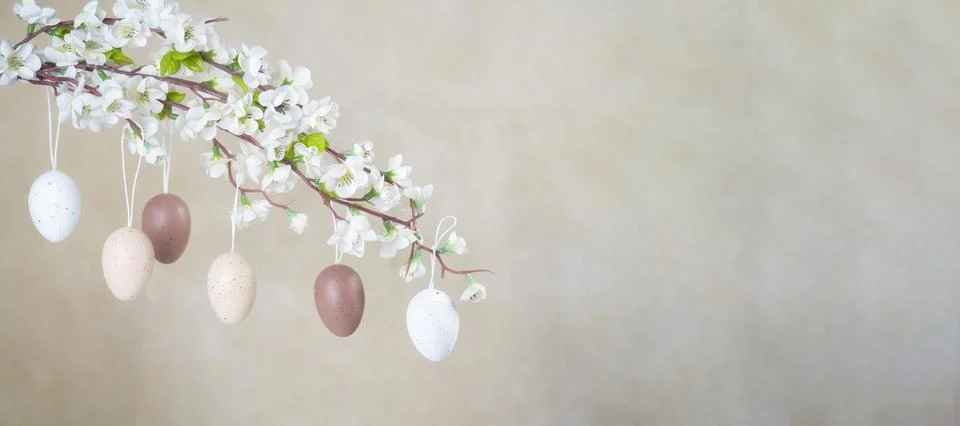 Natural not Colored Easter eggs hanging on branch with white flowers. Stock Photos