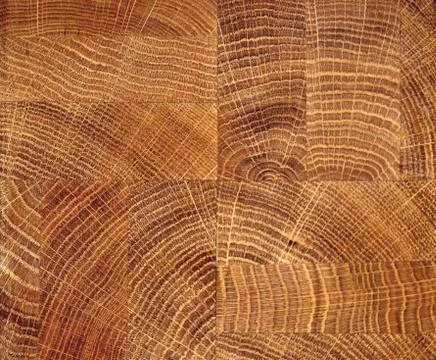Natural oak background Stock Photos