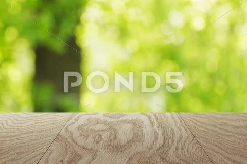 Natural oak table template with blurred oak tree on background Stock Photos