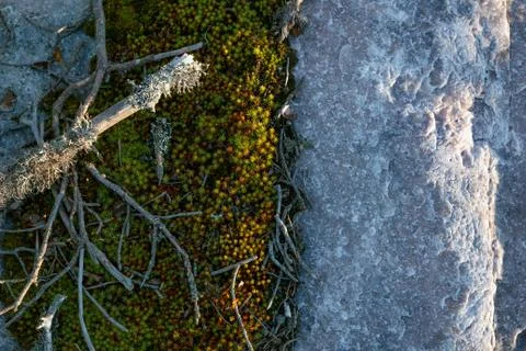 Natural object Stock Photos
