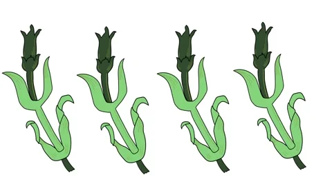 Natural object in shape of flower animation on white background. Видео 268456060