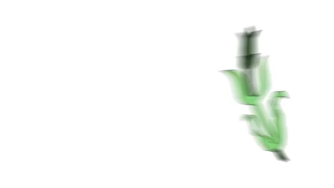 Natural object in shape of flower  simple animation. Video stock 266809529