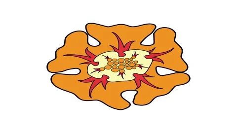 Natural object  simple animation on white background. Video stock 266410437