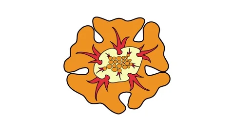 Natural object  simple animation on white background. Stock Footage 266410440