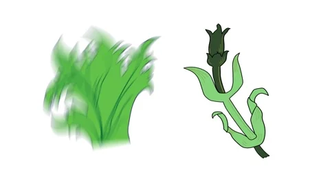 Natural objects in shape of flower and leaf  simple animation. Video stock 266889807