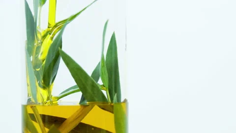 Natural oil flows. Stock Footage 171236673