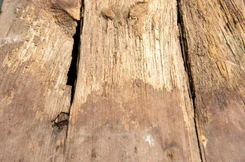 Natural old wood surface pattern Stock Photos