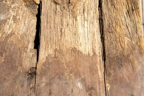 Natural old wood surface pattern Stock Photos