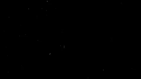 Natural Organic Dust Particles Float On Black Background. Dust In Motion. Vidéo 85698412