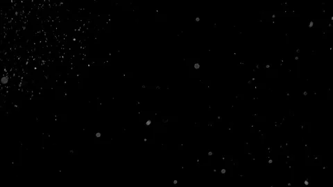 Natural Organic Dust Particles Float On Black Background. Dust In Motion. Vidéo 85698422